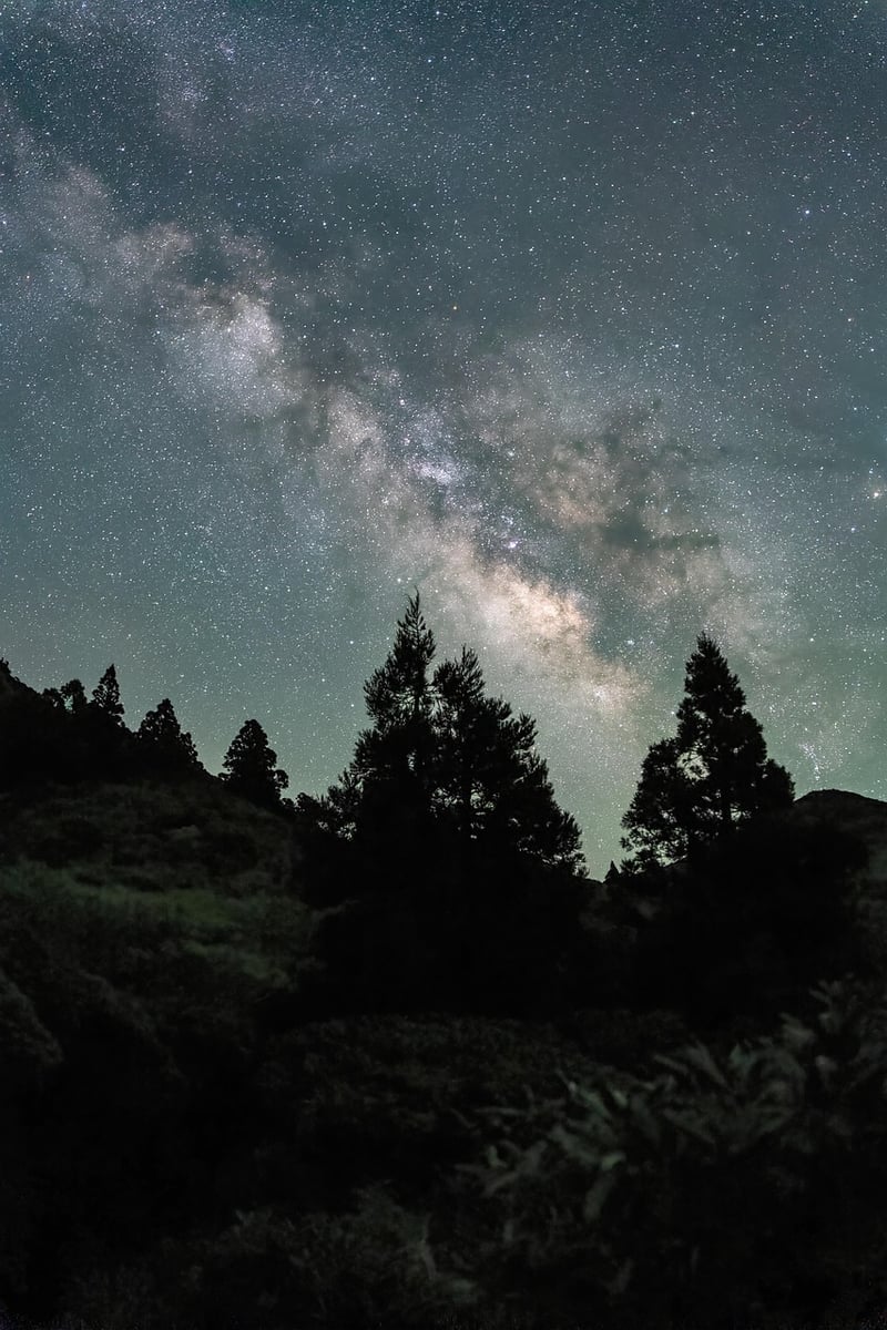 Galaxy-Inspired Wedding